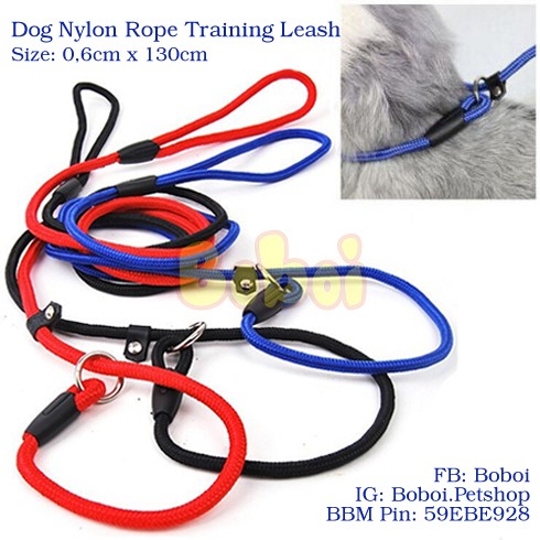 Leash Tali Penuntun Anjing jual leash leash tali penuntun Leash Tali Penuntun Anjing jual leash leash tali penuntun