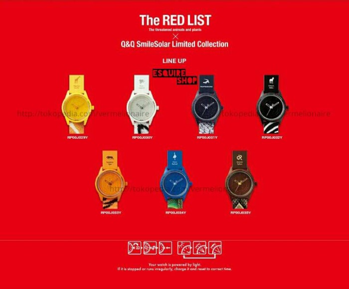 Q&Q SmileSolar The RedList RP00J029Y : Nigerian Giraffe