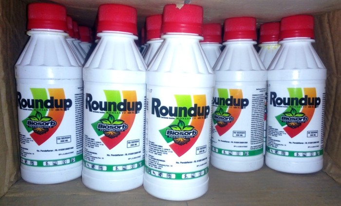 jual roundup 486 sl herbisida 200 ml lokapedia jual roundup 486 sl herbisida 200 ml lokapedia