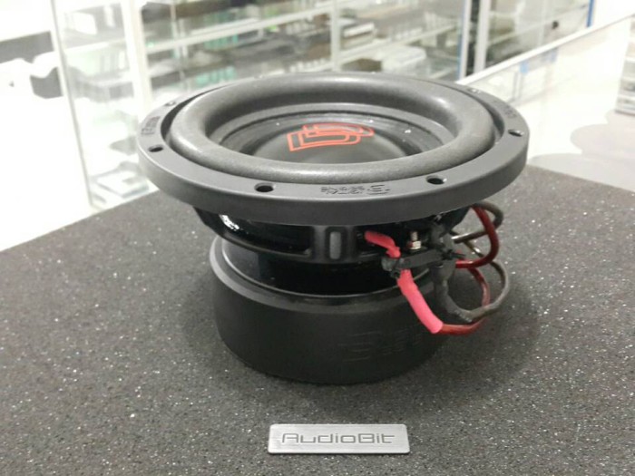 dd 10 inch subwoofer