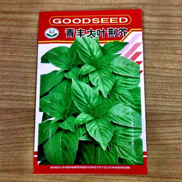 Bibit Biji Benih Basil (Kemangi/Selasih)