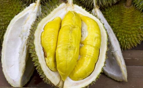 Manfaat Buah Durian Untuk Kesehatan