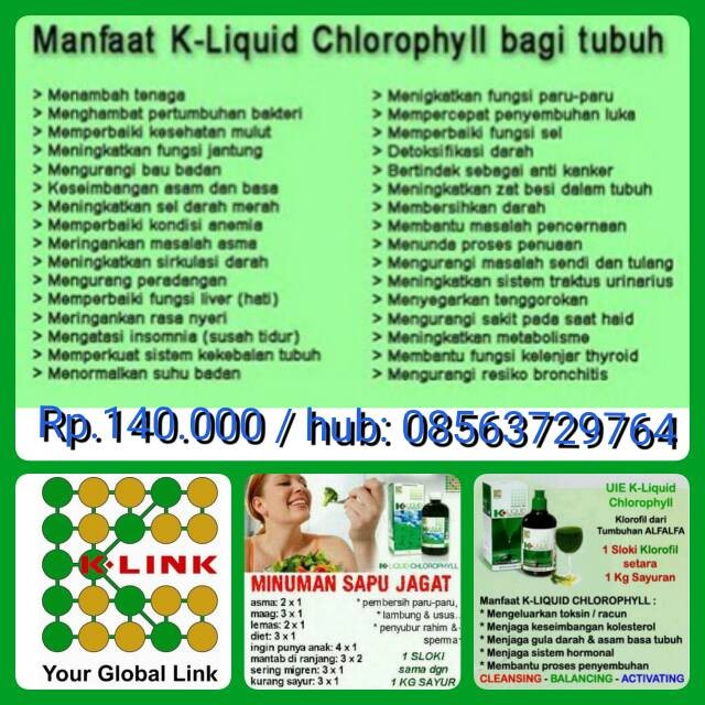 jual chlorophyll k link klorofil k link joe k link jual chlorophyll k link klorofil k link joe k link