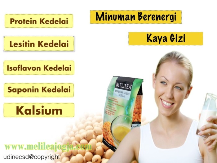 MELILEA Susu Kedelai Organik / Soya Organic