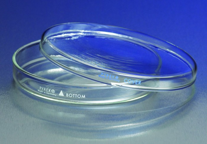 Jual Pyrex 3160 101 Petri Dish 100x15 Cawan Petri Kota Surabaya Nirwana Abadi Tokopedia
