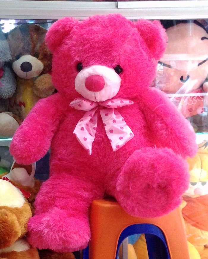 Hasil gambar untuk Boneka Beruang Jumbo