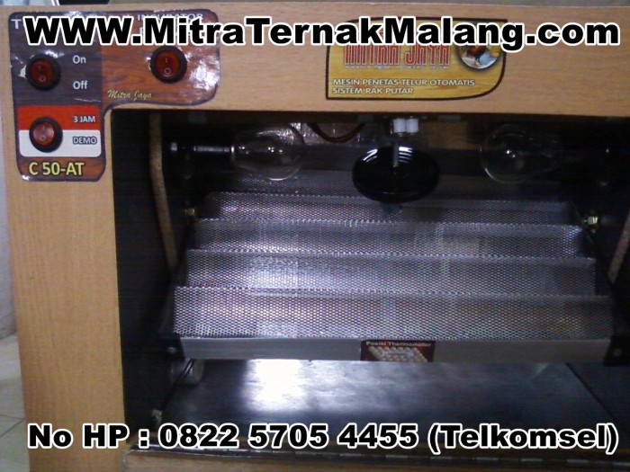 Harga Info Telur Hargano.com Harga Info Telur Hargano.com