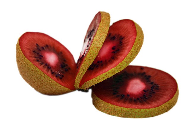 jual benih biji bibit buah kiwi merah nurbani shop jual benih biji bibit buah kiwi merah nurbani shop