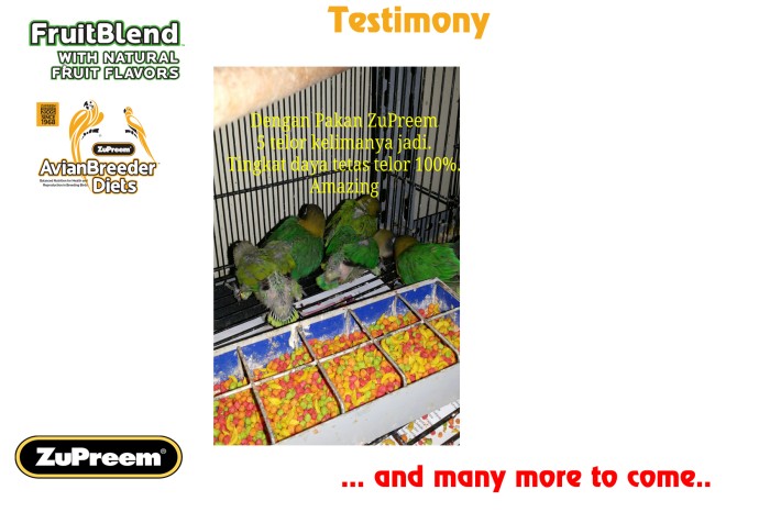 jual pakan burung zupreem fruitblend ml 250 gram kakatua macaw dll setyo pet supplies jual pakan burung zupreem fruitblend ml 250 gram kakatua macaw dll setyo pet supplies