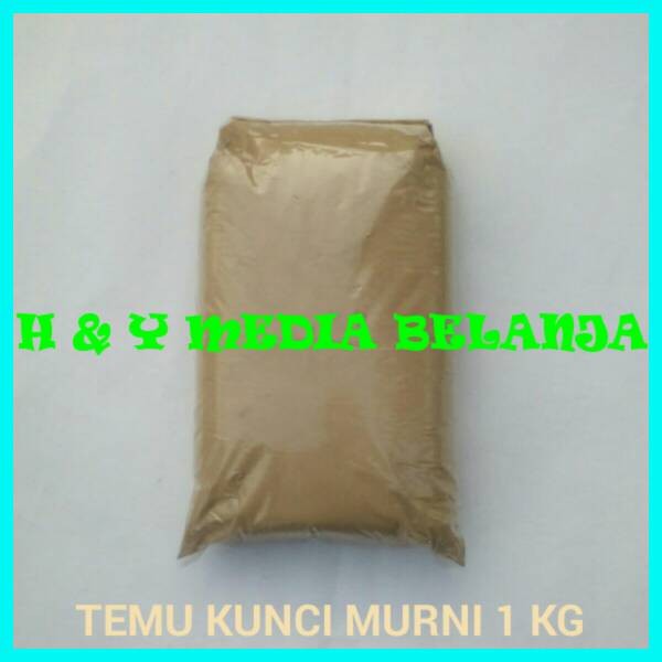 jual temu kunci bubuk serbuk asli murni 1 kg h y jual temu kunci bubuk serbuk asli murni 1 kg h y