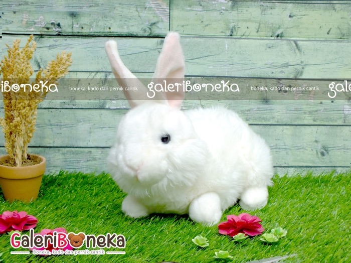 Boneka Kelinci Putih Hk Boneka Kelinci Putih Hk