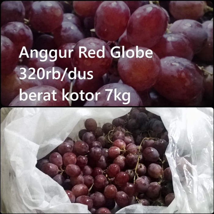 78+ Gambar Anggur Dari Kardus Terlihat Keren 78+ Gambar Anggur Dari Kardus Terlihat Keren