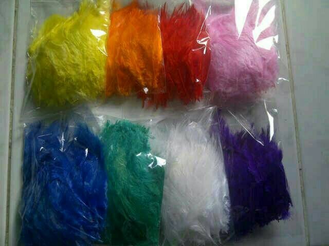 87+ Gambar Ayam Warna Warni Kekinian 87+ Gambar Ayam Warna Warni Kekinian