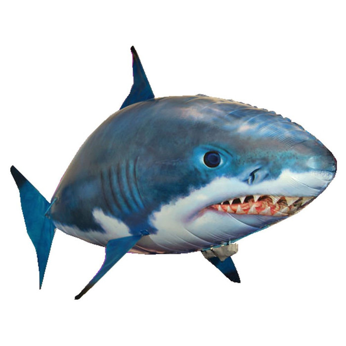 85 Koleksi Gambar Ikan Hiu Png Gratis