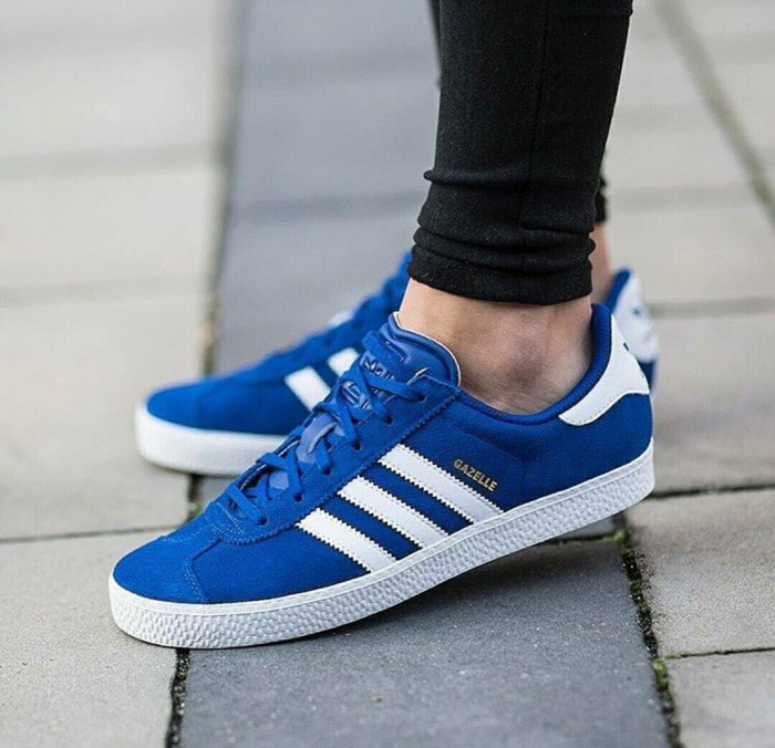 gazelle 2 blue