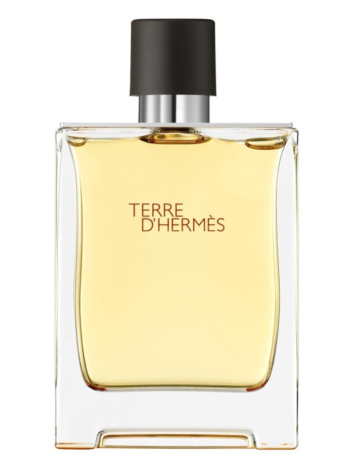 Parfum Original Reject Pria -- Terre De Hermes 100 ml