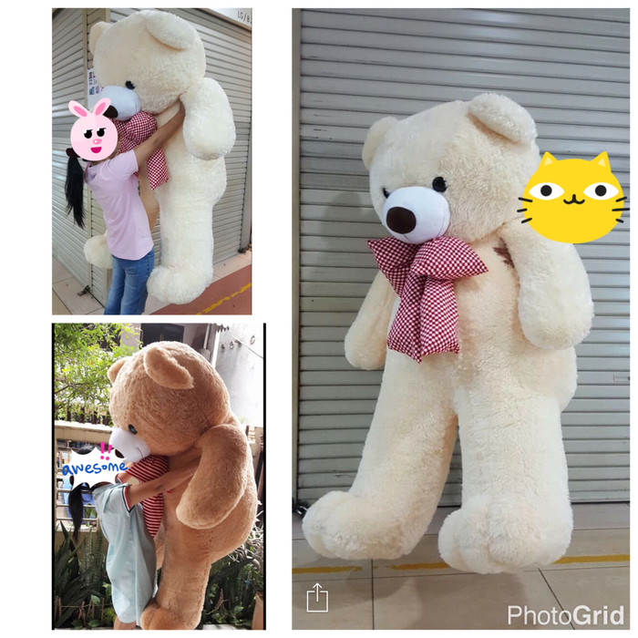 2 meter teddy bear