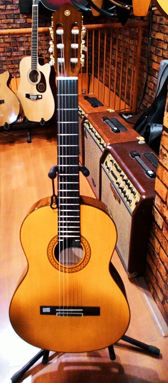 Toko Gitar Yamaha Toko Gitar Yamaha