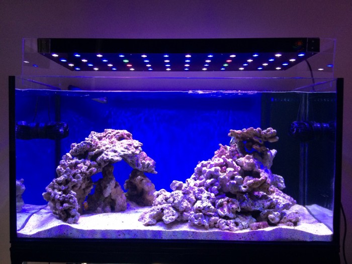 Harga Lampu Aquarium Led Hargano.com Harga Lampu Aquarium Led Hargano.com
