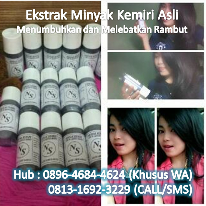 Harga Jual Minyak Kemiri Untuk Rambut Hargano.com Harga Jual Minyak Kemiri Untuk Rambut Hargano.com
