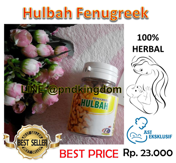 jual fenugreek hulbah pelancar asi penambah asi jual fenugreek hulbah pelancar asi penambah asi