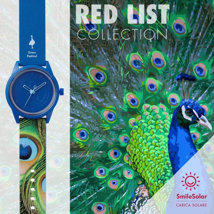 Q&Q Smile Solar RedList - GreenPeafowl (Limited Edition 2016)