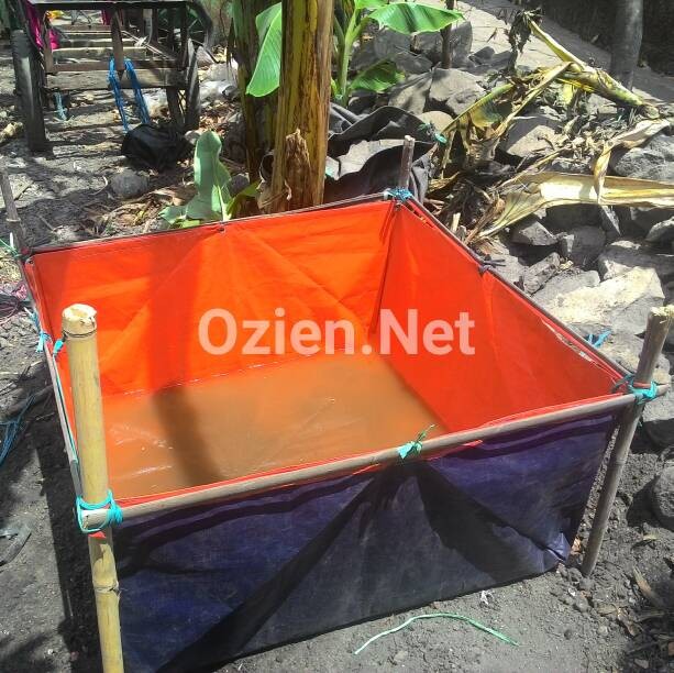 jual kolam terpal srandar kode c ozien store jual kolam terpal srandar kode c ozien store