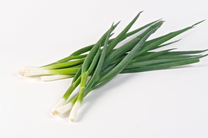 jual benih biji sayuran bawang daun shallot zen garden jual benih biji sayuran bawang daun shallot zen garden