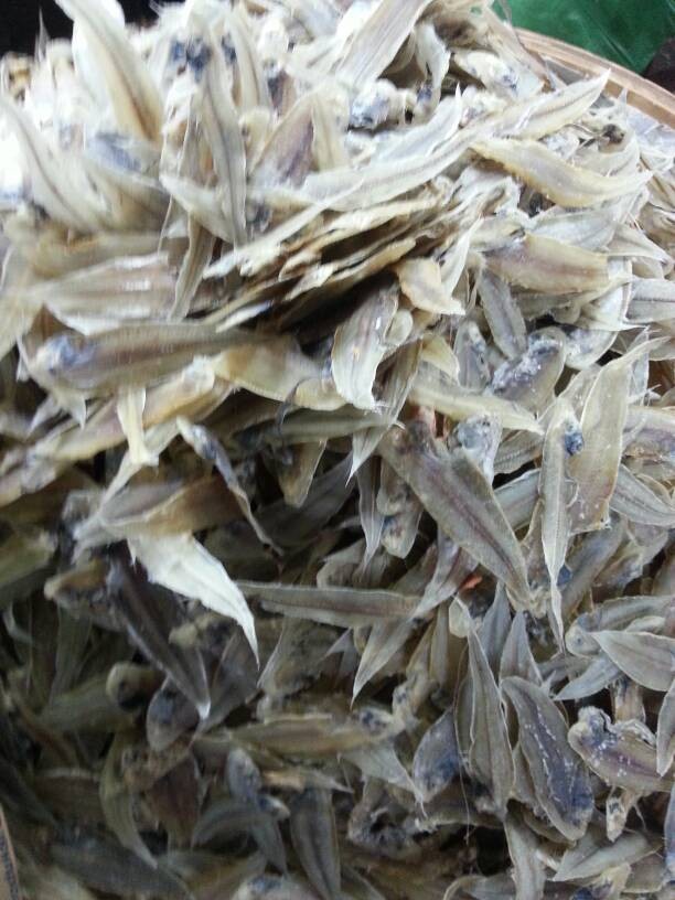 jual ikan asin lidah ikanasinmedan jual ikan asin lidah ikanasinmedan