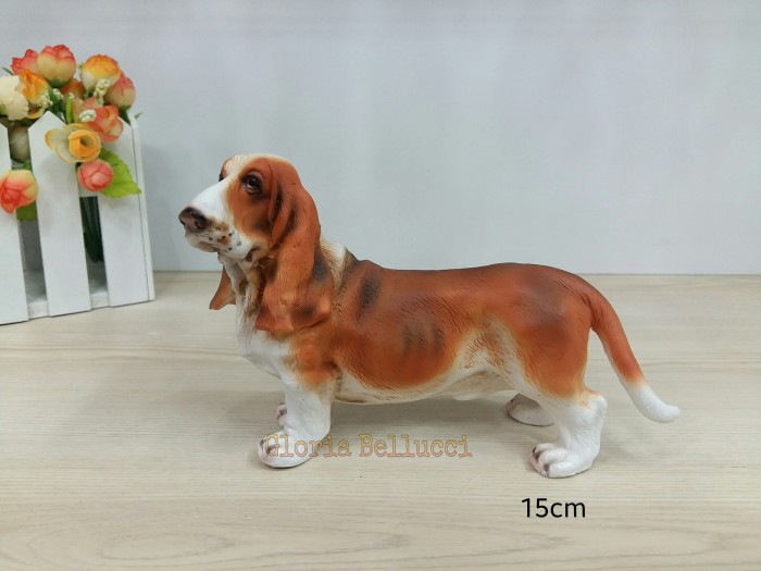 shiba inu and samoyed