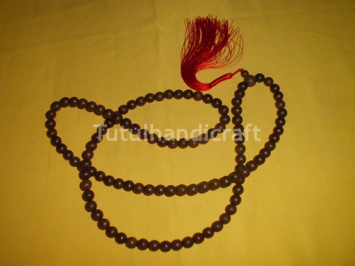 Harga Biji Kelor Hargano.com Harga Biji Kelor Hargano.com