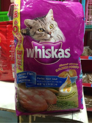 purina digestive dog food