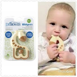 jual giraffe ridgees teether gigitan bayi dr brown dr jual giraffe ridgees teether gigitan bayi dr brown dr