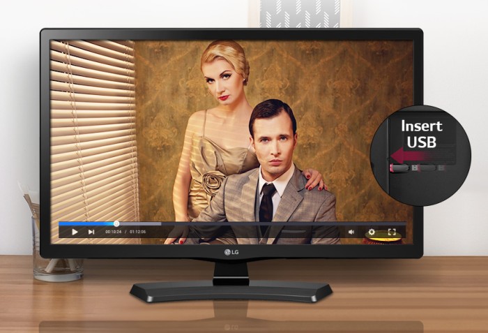 LG 24" Monitor LED TV 24MT48AF-PT Full HD IPS Original