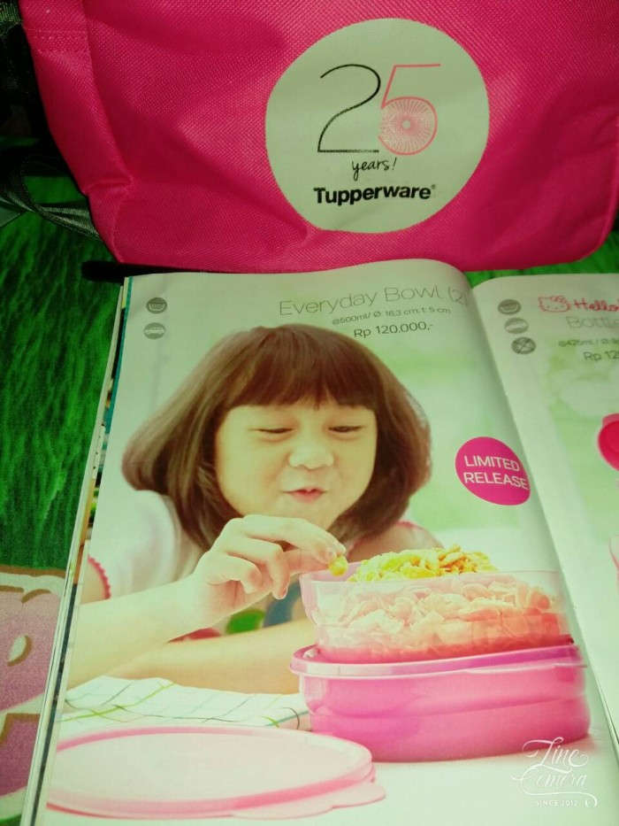 Tupperware Everyday Bowl 2 Daftar Harga Terbaru Dan tupperware everyday bowl 2 daftar harga terbaru dan
