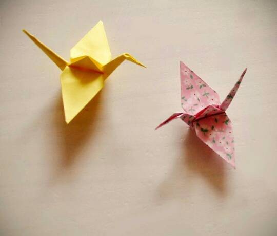 2000+ Gambar Burung Origami Paling Keren 2000+ Gambar Burung Origami Paling Keren
