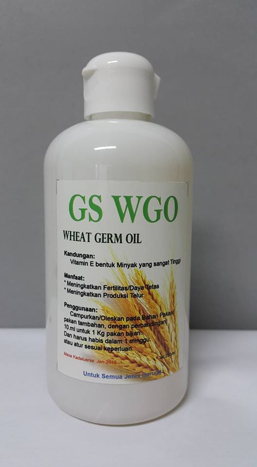 jual minyak gandum wheat germ 250 ml goes km shop jual minyak gandum wheat germ 250 ml goes km shop