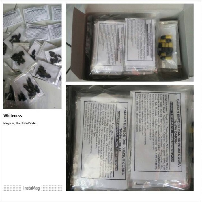 jual empedu ular cobra kering abon ular cobra asli jual empedu ular cobra kering abon ular cobra asli