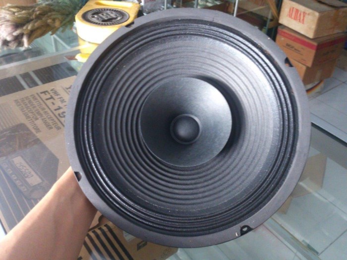 speaker cannon 10 inch