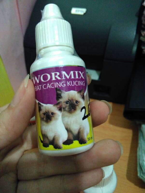 81 Gambar Obat Cacing Kucing Kekinian 81 Gambar Obat Cacing Kucing Kekinian