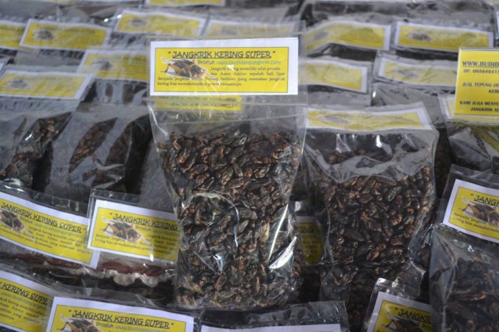 Jual Jangkrik Kering 100 Murni Cocok Untuk Pakan Burung Gelatik