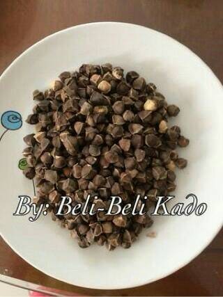 100+ Gambar Biji Daun Kelor Paling Keren 100+ Gambar Biji Daun Kelor Paling Keren
