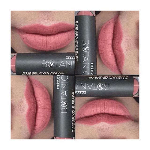 Champagne Beige 4 gr Beli Mineral Botanica Vivid Matte Store Marwanto606 Source Mineral Botanica Soft Matte