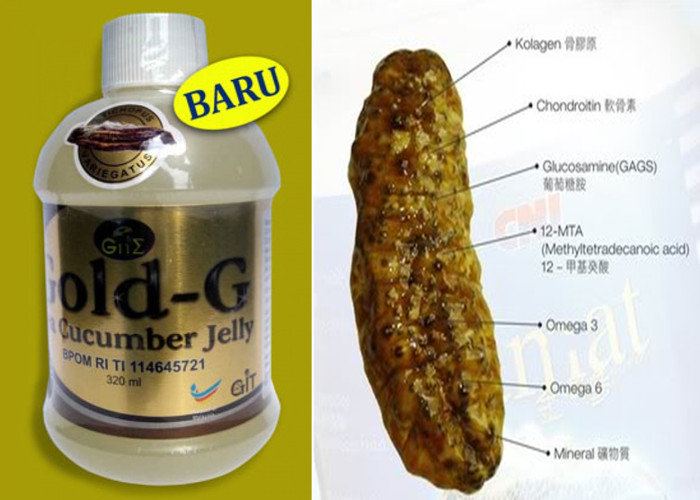 Jual obat asma, obat asma akut obat, asma anak, obat asma terbaik