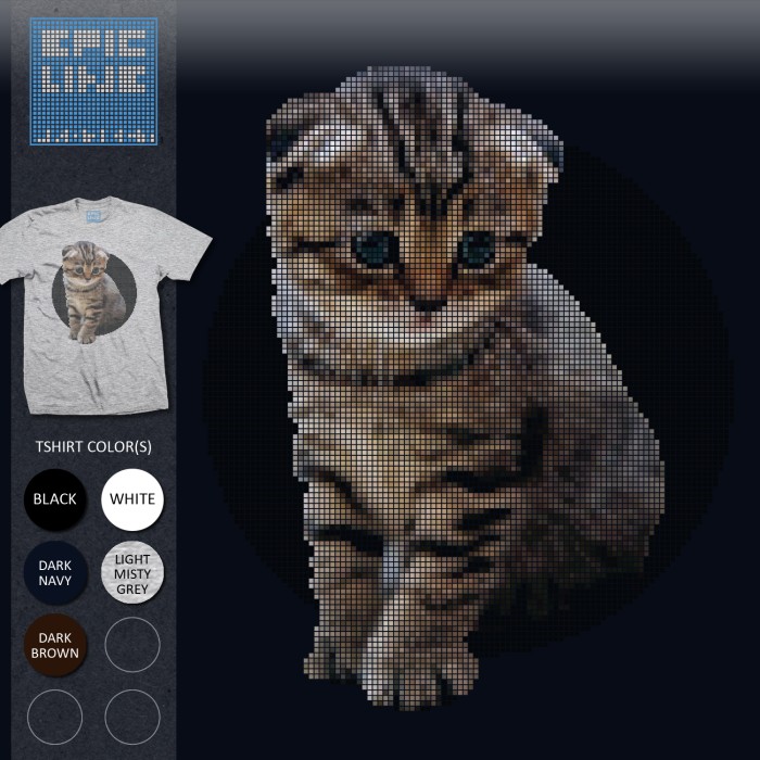 Info Kucing Scottish Fold Hargano.com Info Kucing Scottish Fold Hargano.com