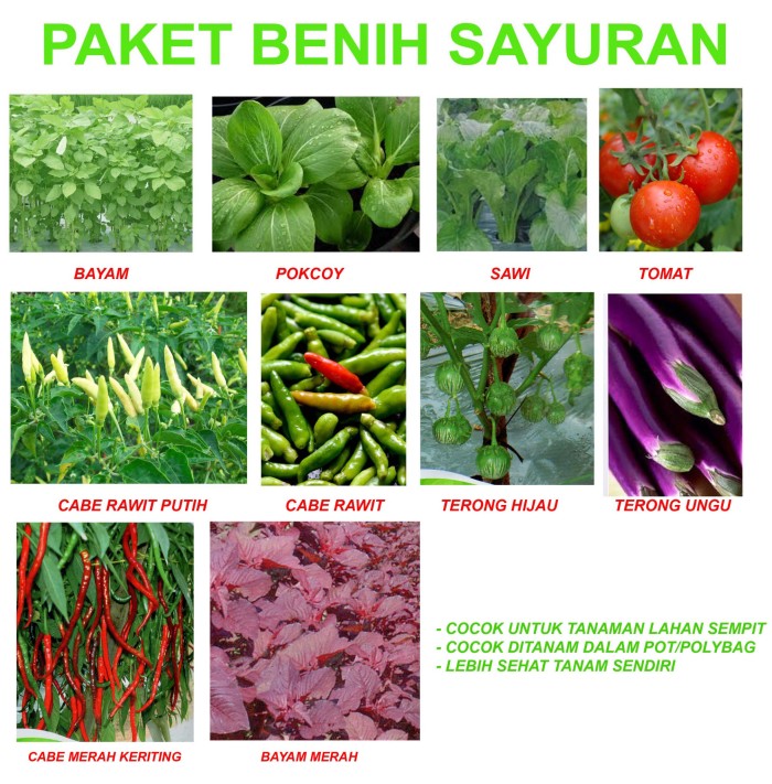 jual paket benih kusus topertaone lengkap golden farm 99 jual paket benih kusus topertaone lengkap golden farm 99