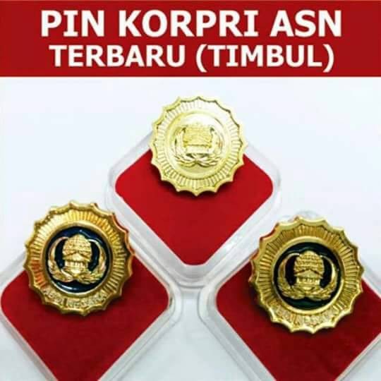Jual Pin Korpri Terbaru Jakarta Pusat Fabian Eching Tokopedia