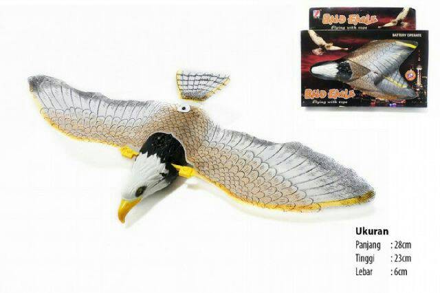 63 Gambar Burung Elang Dari Kertas Karton HD Terbaru