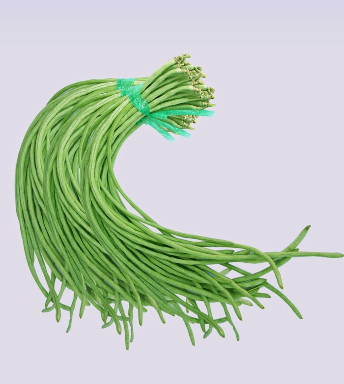 jual biji benih tanaman sayuran kacang panjang seed99 jual biji benih tanaman sayuran kacang panjang seed99