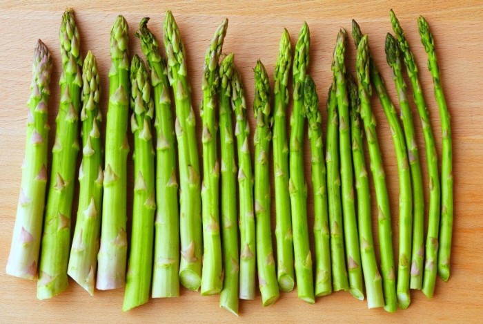 jual bibit benih seeds asparagus biji sayur asparagus jual bibit benih seeds asparagus biji sayur asparagus
